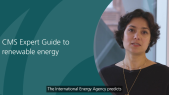thumbnail of medium CMS Expert Guide to renewable energy - Dalia Majumder-Russell